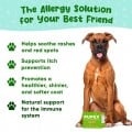 Pupex Allergy & Immune Support