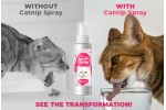 Pupex Catnip Spray