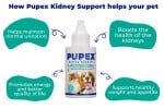 Pupex Kidney Support | For Dogs & Cats