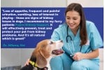 Pupex Kidney Support | For Dogs & Cats